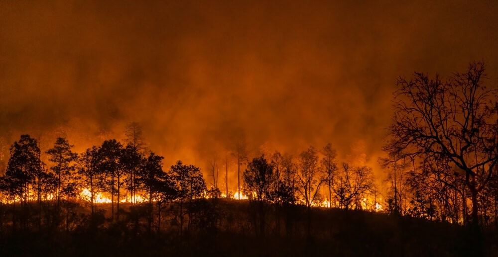 Image of wildfires burning during the El Nino - cheap home insurance in California.